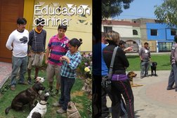VICDOGS PERÚ Escuela Canina (Oficina)